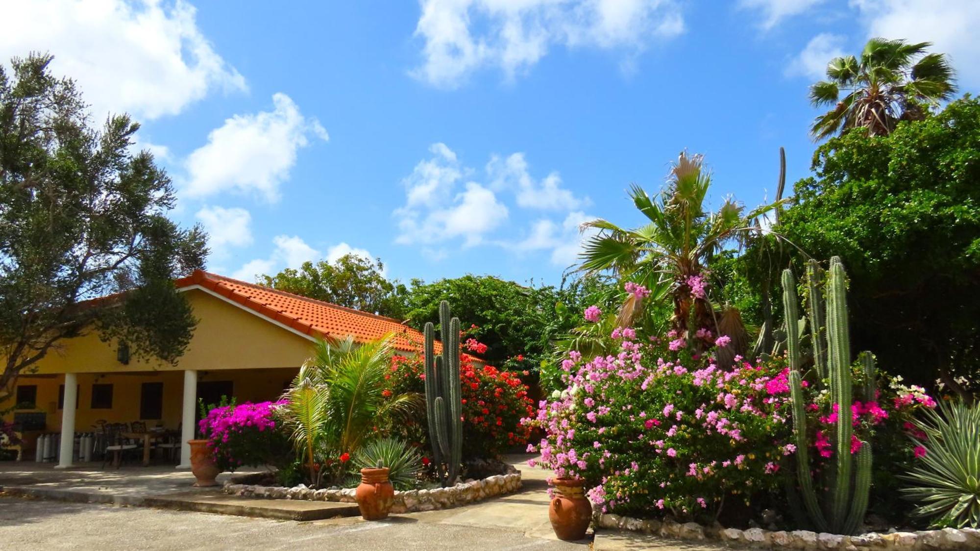 Lagun Blou Resort Curacao Εξωτερικό φωτογραφία