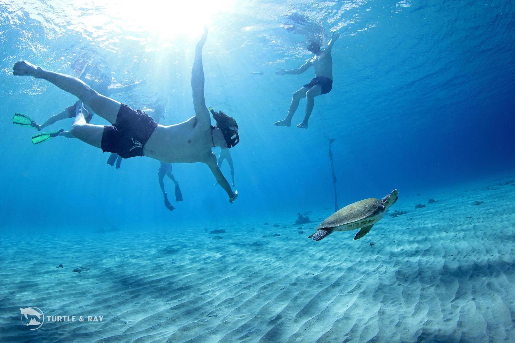 Lagun Blou Resort Curacao Εξωτερικό φωτογραφία