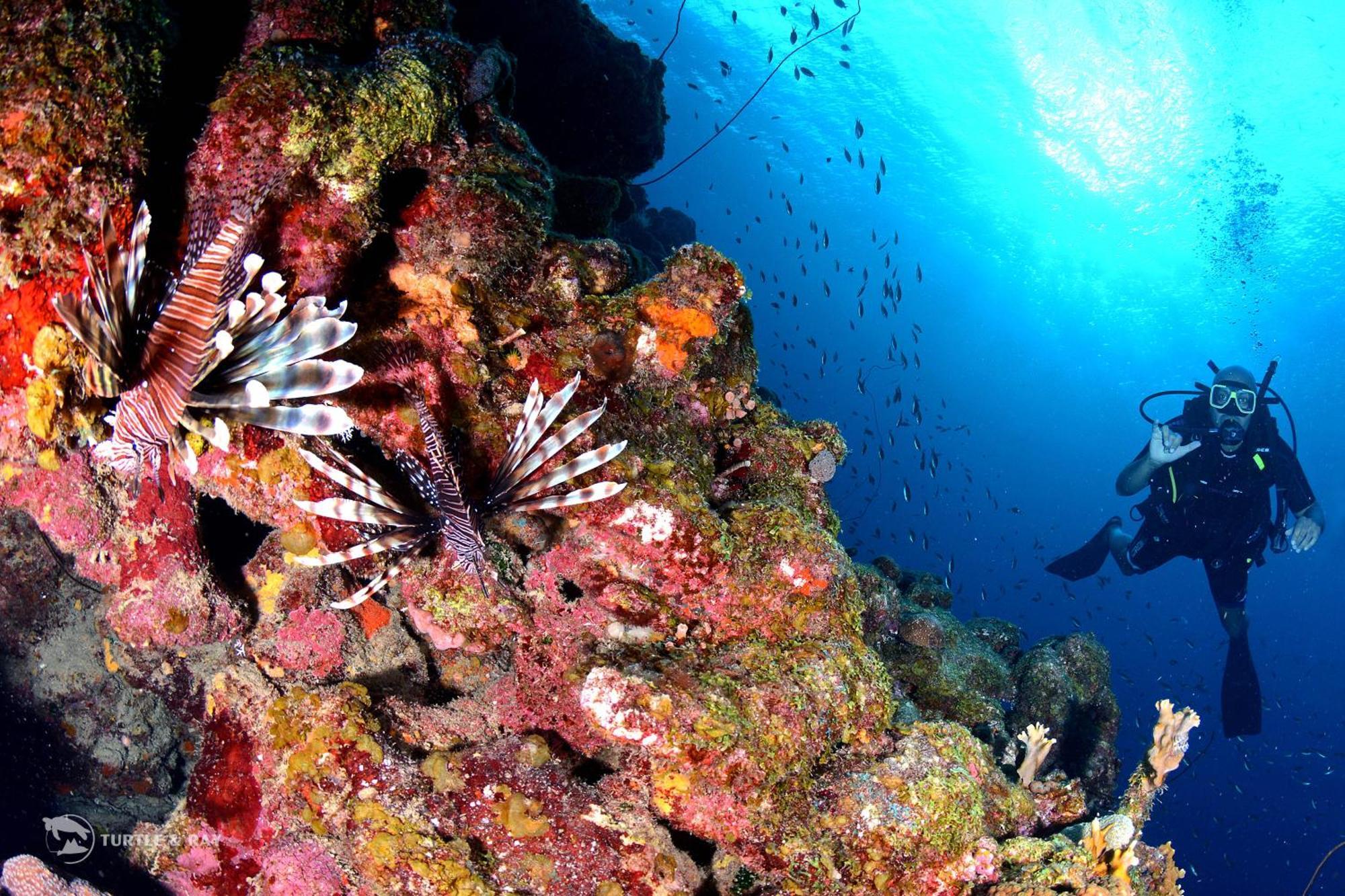 Lagun Blou Resort Curacao Εξωτερικό φωτογραφία